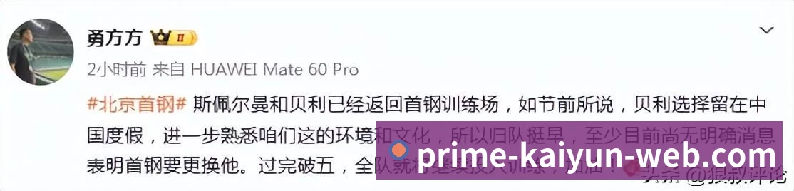 战术分析频道
